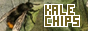 kalechips kalechips