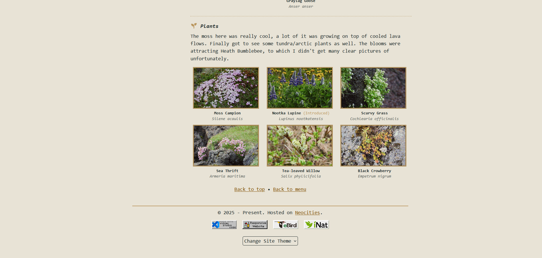 Screenshot of a plain, dark website with an image gallery neatly in grids.