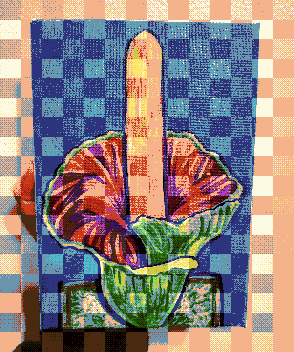 A painting of a blooming corpse flower on a small canvas with a blue background.