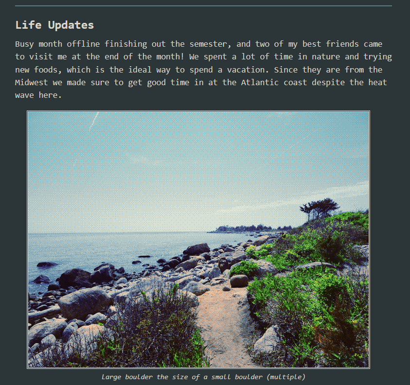 A screenshot from the website of the first portion of this newsletter, showing off dithered/pixel images and dark mode.